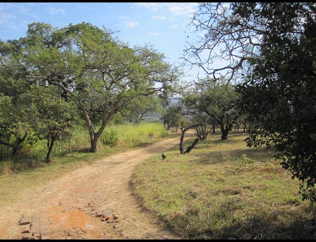 24.60HA FARM FOR SALE IN BERYL